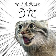 マヌルネコのうたのジャケット画像