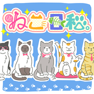 ネコ日和。のジャケット画像