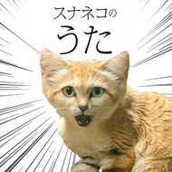 スナネコのうたのジャケット画像
