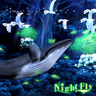 Night Flyのジャケット画像