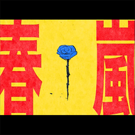春嵐のジャケット画像
