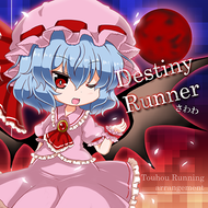 Destiny Runnerのジャケット画像