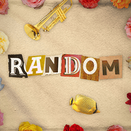 Randomのジャケット画像