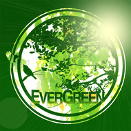 EVERGREENのジャケット画像