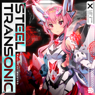 STEEL TRANSONICのジャケット画像